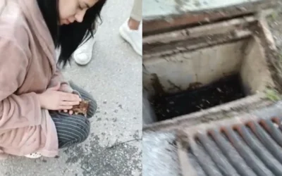 Θεσσαλονίκη: Νοσηλεύτρια επαναφέρει στη ζωή γατάκι που έπεσε σε φρεάτιο - Βίντεο
