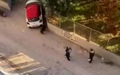 Θεσσαλονίκη: Αστυνομικοί καταδίωξαν αγριογούρουνο σε γειτονιά του Ευόσμου – Απίστευτες εικόνες σε βίντεο