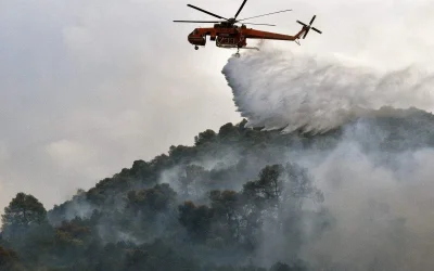 Πύρινο μέτωπο στην Ηλεία: Μεγάλη φωτιά στον Ελαιώνα – Στη μάχη εναέρια μέσα και ισχυρές δυνάμεις