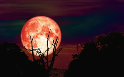 Ισχύει ότι η πανσέληνος επηρεάζει τη διάθεσή μας; Τι λέει η επιστήμη