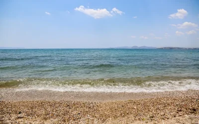 Οσμή στην Αττική: Γεράσιμος Παπαδόπουλος ξεκαθαρίζει ότι δεν σχετίζεται με σεισμό