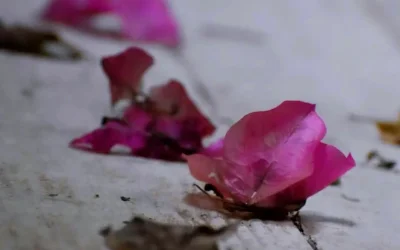 Ποιοι γιορτάζουν σήμερα και γιατί η 30η Ιουνίου είναι ξεχωριστή