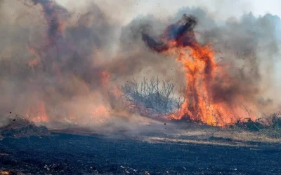 Πέντε συλλήψεις για παραβάσεις της αντιπυρικής νομοθεσίας: Τροχός, θεριζοαλωνιστική και μπάρμπεκιου