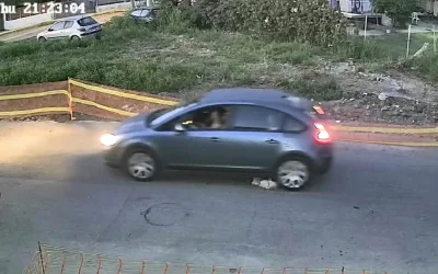 Γαστούνη: Ταυτοποιήθηκε η οδηγός που πάτησε και σκότωσε το αδέσποτο σκυλάκι