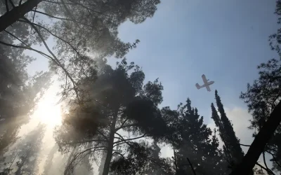 Φωτιά στο Ωραιόκαστρο: Νεκρός άνδρας και αγνοούμενο το 12χρονο παιδί του