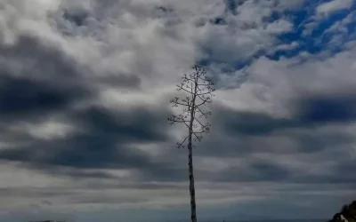 Αλλαγές στο καιρικό σκηνικό με βροχές και καταιγίδες. Ποιές περιοχές θα επηρεαστούν