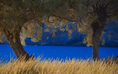 Προ των πυλών ο πρώτος καύσωνας του καλοκαιριού – Πόσο θα διαρκέσει