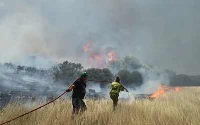 Ισχυροί άνεμοι και μελτέμια έως 9 μποφόρ: Προειδοποίηση Μαρουσάκη. «Πολύ δύσκολη μέρα και το Σάββατο»