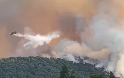 Η φωτιά στην Οινόη φτιάχνει τον δικό της καιρό: Καταγράφηκε παροδική πυροεπαγωγική συμπεριφορά
