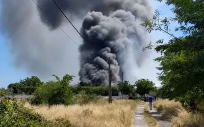 Συνελήφθη 70χρονος για την πυρκαγιά στο Καλοχώρι: Έκαιγε χαρτί για να διώξει σφήκες