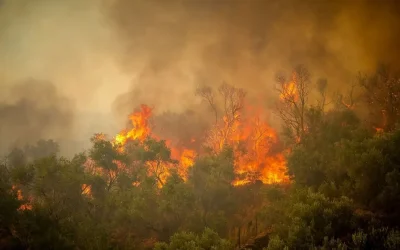 Σε πλήρη εξέλιξη οι πυρκαγιές σε Κρήτη, Αχαΐα, Θήβα, Αιτωλοακαρνανία: Βελτιωμένη η κατάσταση σε Άνδρο και Κάλυμνο