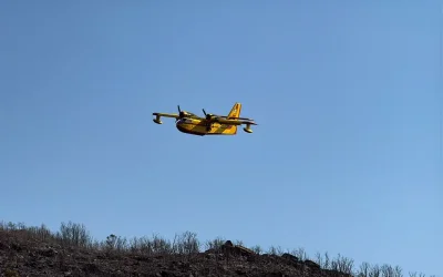 Φωτιά στα Βίλια Αττικής: Ενισχύονται οι πυροσβεστικές δυνάμεις