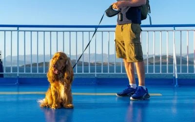 Τι ισχύει με τα κατοικίδια στα πλοία: Κανόνες και εξαιρέσεις