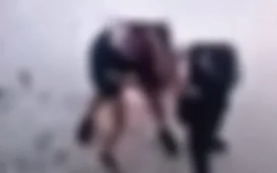 Σοκαριστικό βίντεο από ξυλοδαρμό ανήλικης στην Κρήτη: Σκληρές εικόνες