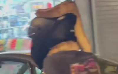 Αθήνα: Viral βίντεο με μοτοσικλετιστή που οδηγεί με ένα τεράστιο φίδι τυλιγμένο στον λαιμό του