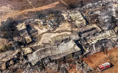 Συναγερμός για το τοξικό νέφος από τη φωτιά στο Ωραιόκαστρο: Συστάσεις για χρήση μάσκας
