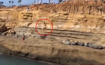 Σοκαριστικό βίντεο από Σαν Ντιέγκο: 17χρονος τραυματίζεται σοβαρά σε άλμα από γκρεμό