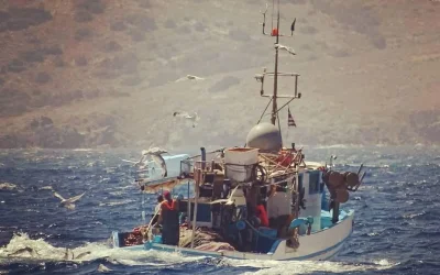 Κολυδάς: Τάσεις ανέμων για το επόμενο 10ήμερο. Νέες προγνώσεις