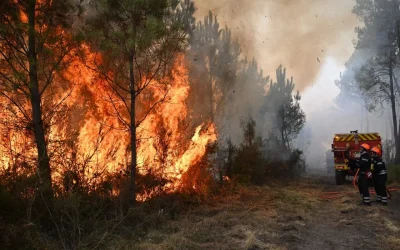 Η χώρα καίγεται και ο Πρωθυπουργός κάνει διακοπές: Πολιτική κρίση και ηγεσία στην Ευρώπη