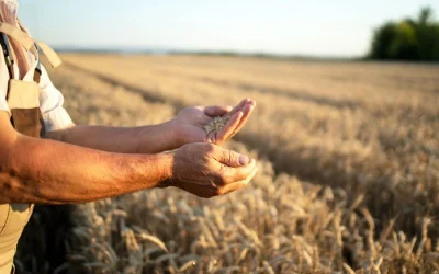 myAGRO: Εκ νέου σε λειτουργία το σύστημα της ΑΑΔΕ για διορθώσεις – Όλες οι αλλαγές και οι προθεσμίες