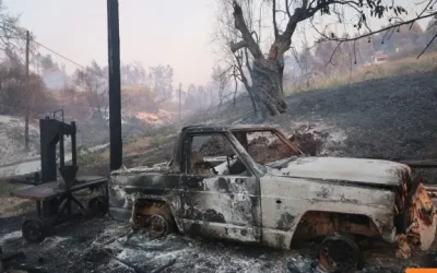 Χιλιάδες στρέμματα καμένα και ζημιές σε κατοικίες από τη φωτιά στη Σίβηρη Χαλκιδικής