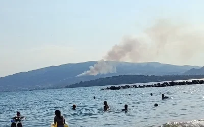 Χωρίς ενεργό μέτωπο οι πυρκαγιές στον Βόλο