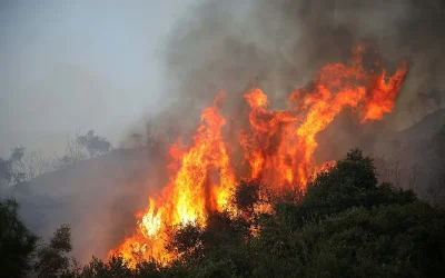 Δύο νεκροί από τη φωτιά στη Σαλαμίνα, με σπίτια να παραδίδονται στις φλόγες