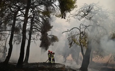 Φωτιά στη Δυτική Αττική: Πέμπτη ημέρα μάχης με τις φλόγες. 130.000 καμμένα στρέμματα στην Αττικοβοιωτία