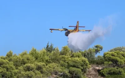 Ελάτεια Φθιώτιδας: Καλύτερη εικόνα στη φωτιά, μάχη με διάσπαρτες εστίες