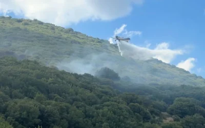 Ηλεία: Μεγάλη φωτιά σε δασική έκταση στο Μουζάκι Πύργου