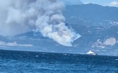 Πύρινα μέτωπα σε Φωκίδα, Αμφιλοχία και Λαμία: Μήνυμα από το 112 και εκκενώσεις οικισμών