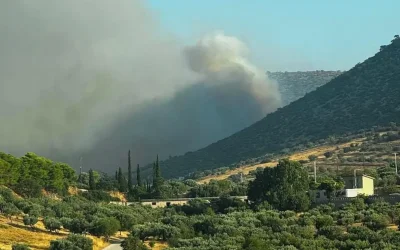 Φωτιά στον Κουβαρά Αττικής: 112, εκκένωση και ενίσχυση δυνάμεων πυρόσβεσης