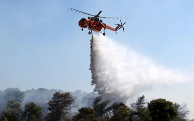 Φωτιά σε αγροτοδασική έκταση στα Φάρσαλα: Ισχυρές επίγειες και εναέριες δυνάμεις στο σημείο