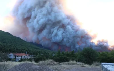 Φωτιά στην Αττικοβοιωτία: Σημαντική εξάπλωση προς τον κάμπο των Μεγάρων