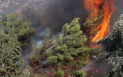 Φωτιά σε χαμηλή βλάστηση στον Άσπρο Κιλκίς: Στη μάχη πυροσβέστες, οχήματα και ελικόπτερο