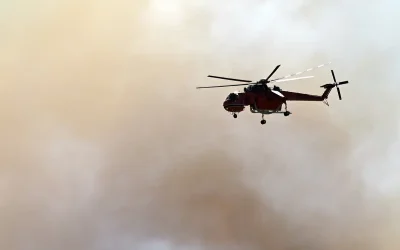 Φωτιά σε δασική έκταση στη Βωβούσα Ιωαννίνων: Κινητοποίηση Πυροσβεστικής