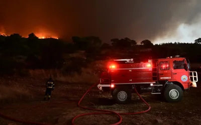 Φωτιά σε δασική έκταση στην Πρώτη Σερρών: Σε εξέλιξη η επιχείρηση κατάσβεσης