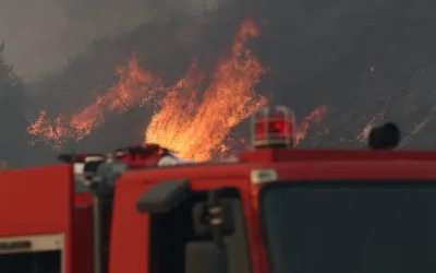 Φωτιά στη Χαλκιδική: Δραματική μαρτυρία εθελοντή πυροσβέστη για τη «χειρότερη νύχτα της ζωής του»