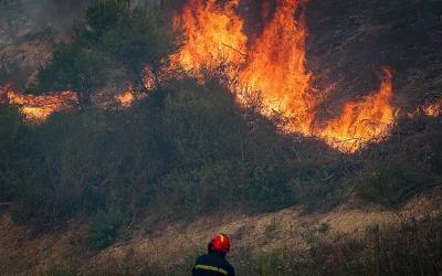 Φωτιά στη Μάνδρα Αττικής: Άμεση επέμβαση και οριοθέτηση σε 15 λεπτά