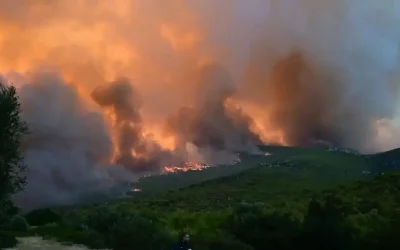 Φωτιά στη Νέα Πέτρα Σερρών: Ισχυρές δυνάμεις στην επιχείρηση κατάσβεσης