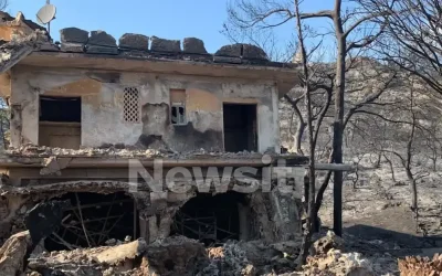 Φωτιά στη Σαλαμίνα: Η αγωνιώδης μάχη ενός ζευγαριού με τις φλόγες