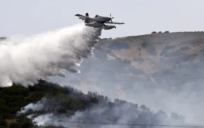 Φωτιά στη Θήβα: Κινητοποίηση επίγειων και εναέριων δυνάμεων για την κατάσβεση