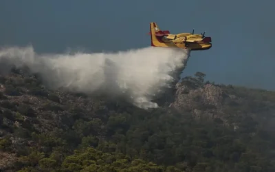 Φωτιά στην Ελάτεια Φθιώτιδας: μήνυμα από το 112 στους κατοίκους