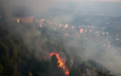 Φωτιά στην Πάρο: Κινητοποίηση δυνάμεων στην περιοχή Κώστος