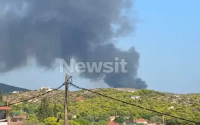Φωτιά στο Ελληνικό Σαλαμίνας: Μήνυμα 112 για εκκένωση περιοχών