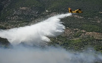 Φωτιά στο Γενέσι Τρικάλων: Μεγάλη κινητοποίηση πυροσβεστικών δυνάμεων