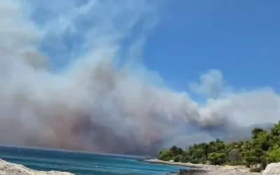 Δύο συλλήψεις για τη φωτιά στη Βοιωτία: Σπινθήρες από ανεμογεννήτριες προκάλεσαν τη λαίλαπα