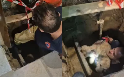 Η διάσωση σκύλου από φρεάτιο τριών μέτρων στη Θεσσαλονίκη