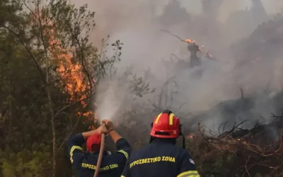 Η περίμετρος της καμένης έκτασης από την φωτιά στη Σίβηρη Χαλκιδικής ανέρχεται στα 2.480 στρέμματα
