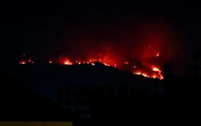 Η υπηρεσία Copernicus ενεργοποιήθηκε για την καταγραφή των καμένων εκτάσεων στη Σκύρο